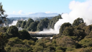 Geothermal Valley, Te Puia