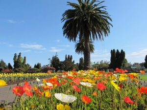 Government Gardens, Rotorua 