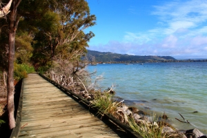 Rotorua Lakefront Walkway