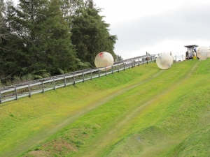 Zorbing!