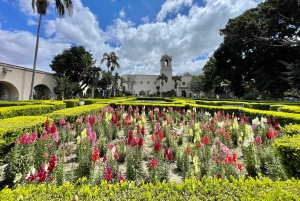 5 1/2-часовая частная экскурсия по Сан-Диего в автомобиле Lexus ES300H