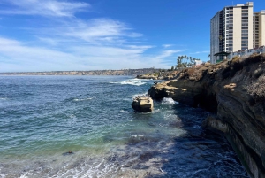 5 1/2-часовая частная экскурсия по Сан-Диего в автомобиле Lexus ES300H