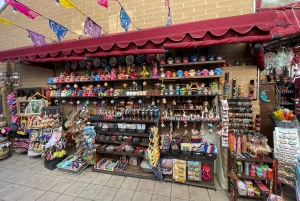 5 1/2-часовая частная экскурсия по Сан-Диего в автомобиле Lexus ES300H