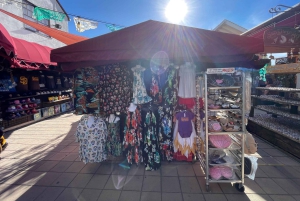 5 1/2-часовая частная экскурсия по Сан-Диего в автомобиле Lexus ES300H