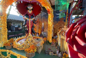 5 1/2-часовая частная экскурсия по Сан-Диего в автомобиле Lexus ES300H