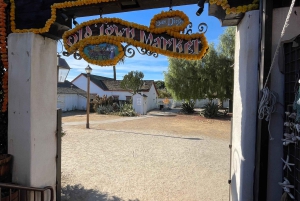 5 1/2-часовая частная экскурсия по Сан-Диего в автомобиле Lexus ES300H