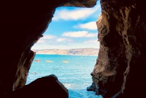 A Seaside Stroll: La Jolla's Hidden Treasures Walking Tour