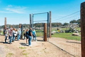 Alppi: Leijonat Tiikerit & Karhut Animal Sanctuary Guided Visit
