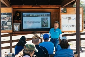 Alppi: Leijonat Tiikerit & Karhut Animal Sanctuary Guided Visit