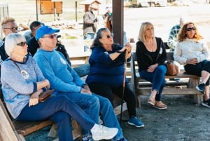 Alppi: Leijonat Tiikerit & Karhut Animal Sanctuary Guided Visit