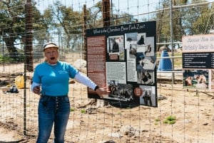 Alppi: Leijonat Tiikerit & Karhut Animal Sanctuary Guided Visit