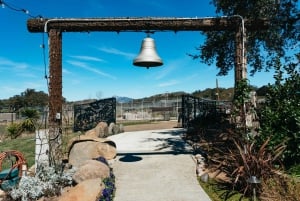 Alpine: Besøg og fodring i løve-, tiger- og bjørnereservatet