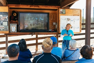 Alpine: Lions Tigers & Bears Sanctuary Visit and Feeding