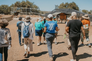 Alpine: Lions Tigers & Bears Sanctuary Visit and Feeding