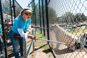 Alpine: Lions Tigers & Bears Sanctuary Visit and Feeding