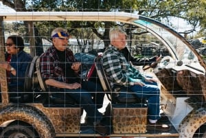 Alpine: Lions Tigers & Bears Sanctuary Visit and Feeding