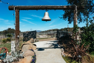 Alpine: Lions Tigers & Bears Sanctuary Visit and Feeding