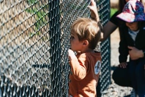 Alpine: Lions Tigers & Bears Sanctuary Visit and Feeding