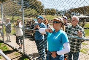 Alpine: Lions Tigers & Bears Sanctuary Visit and Feeding