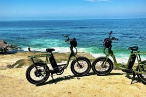 Cali Dreaming - Tour de La Jolla et de Pacific Beach en vélo électrique