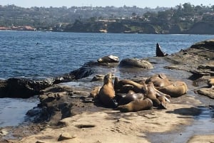 Cali Dreaming - Tour de La Jolla et de Pacific Beach en vélo électrique