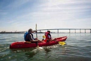 Visite guidée de Coronado en kayak 90 minutes