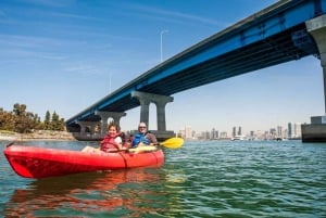 Visite guidée de Coronado en kayak 90 minutes