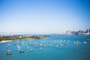 Visite guidée de Coronado en kayak 90 minutes