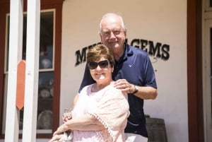 Fra Orange County: San Diego City Highlights Guided Tour