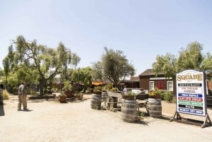Fra Orange County: San Diego City Highlights Guided Tour