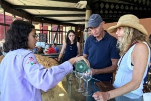 Fra San Diego: Valle de Guadalupe privat vinsmakingstur