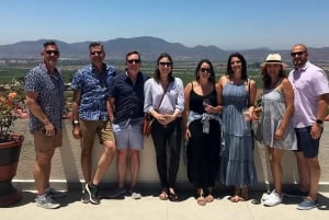 Fra San Diego: Valle de Guadalupe privat vinsmakingstur