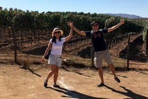 Fra San Diego: Valle de Guadalupe privat vinsmakingstur