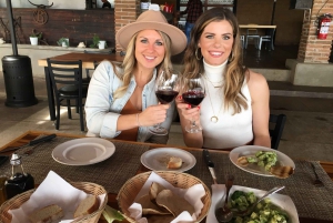 Fra San Diego: Valle de Guadalupe privat vinsmakingstur
