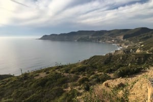 Fra San Diego: Valle de Guadalupe privat vinsmakingstur