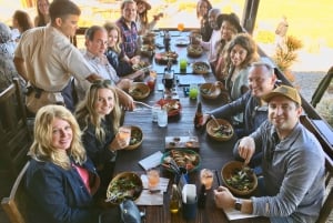 Fra San Diego: Valle de Guadalupe privat vinsmakingstur