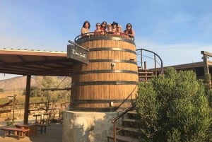 Fra San Diego: Valle de Guadalupe privat vinsmakingstur
