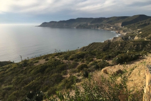 Z San Diego: prywatna degustacja wina Valle de Guadalupe