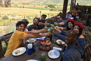 Z San Diego: prywatna degustacja wina Valle de Guadalupe