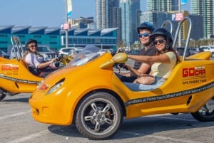 GPS トーキング ツアー カー: サンディエゴ 1 日ツアー