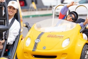 GPS トーキング ツアー カー: サンディエゴ 1 日ツアー