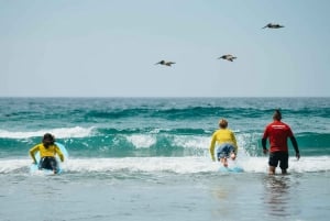 La Jolla: 1,5 times surfing-lektion