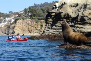 Philadelphia: Penn Museum Admission Ticket