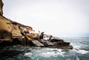 La Jolla: 2,5 tunnin kajakki- ja snorkkelikierros