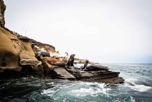 Ла Джолла: 2,5-часовой тур на байдарках и с маской и трубкой