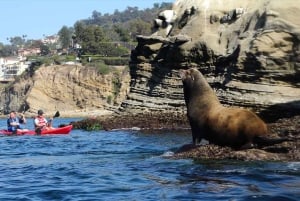 Ла Джолла: 2,5-часовой тур на байдарках и с маской и трубкой