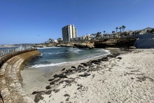 La Jolla: 2-Hour Guided Segway Tour
