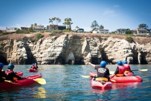La Jolla: 2-Hour Kayak Tour of the 7 Caves