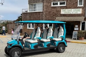 La Jolla: Guided Coastal Golf Cart Tour of Local Hidden Gems
