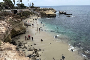 La Jolla: Guided Coastal Golf Cart Tour of Local Hidden Gems